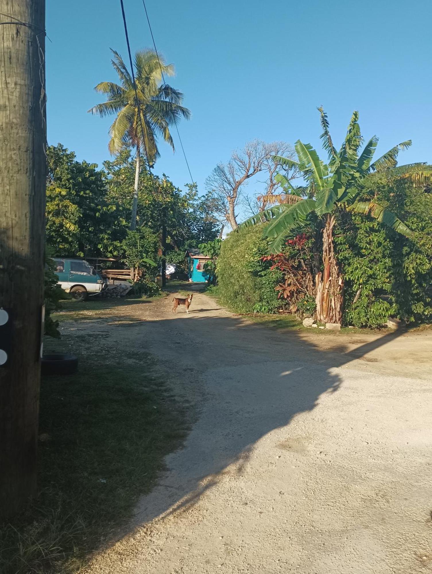 Kapeta Cabin Nuku'alofa Eksteriør billede